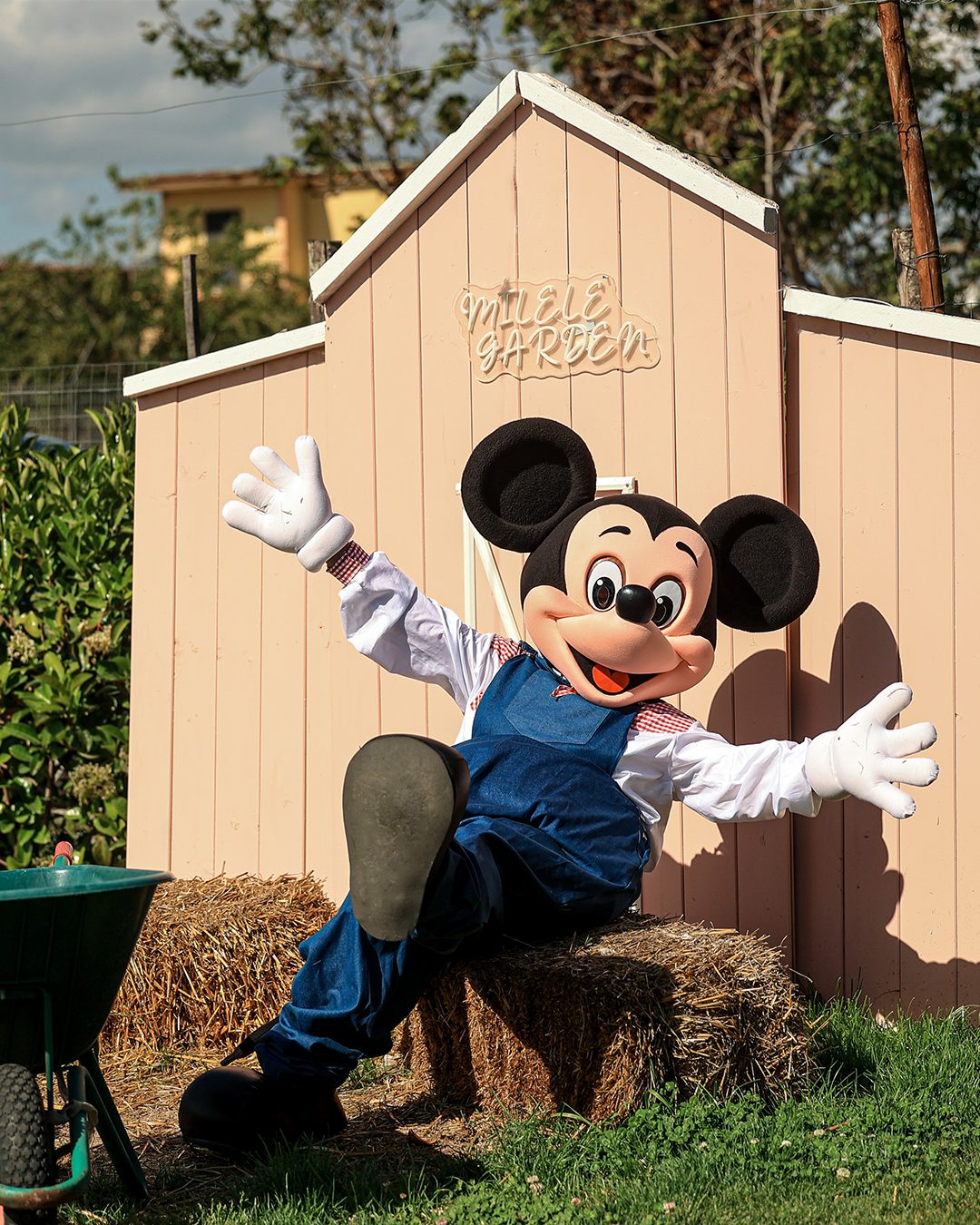 Topolino saluta