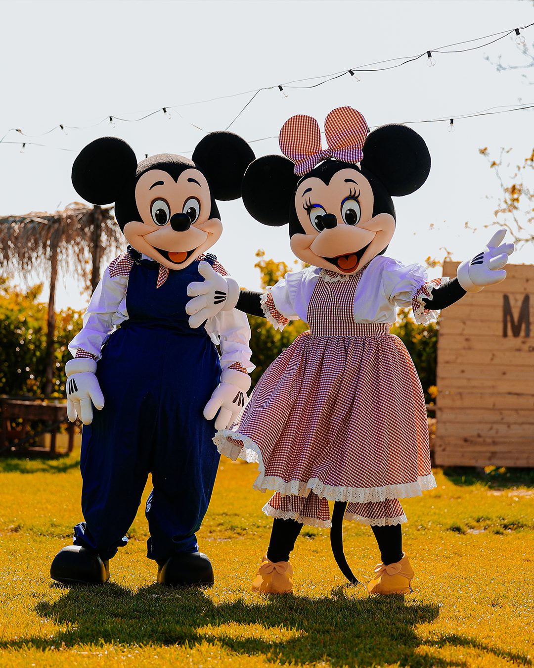 Topolino e minnie