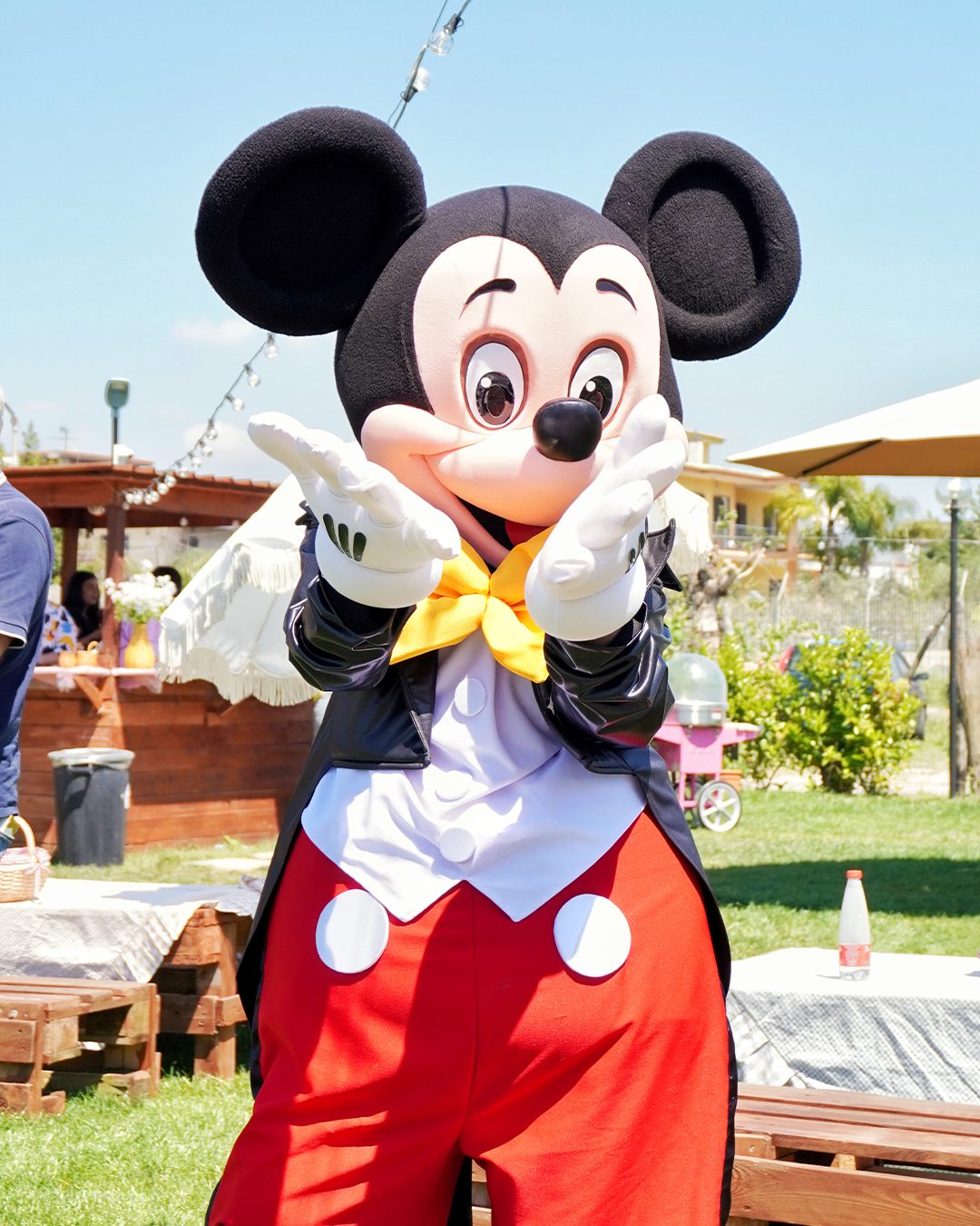 Topolino in giardino