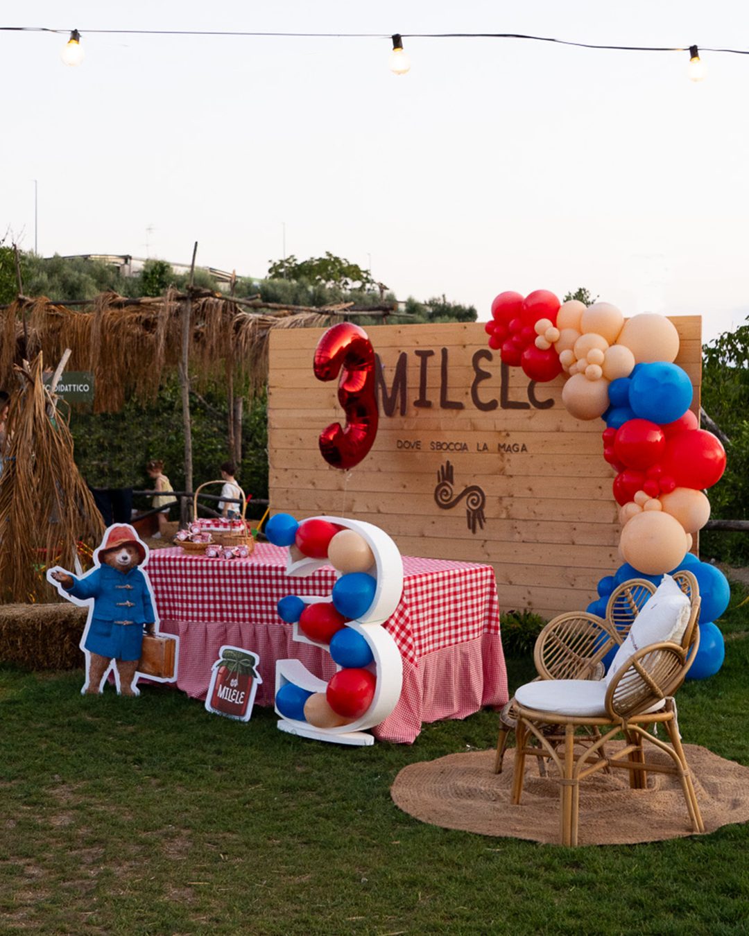 Allestimento compleanno