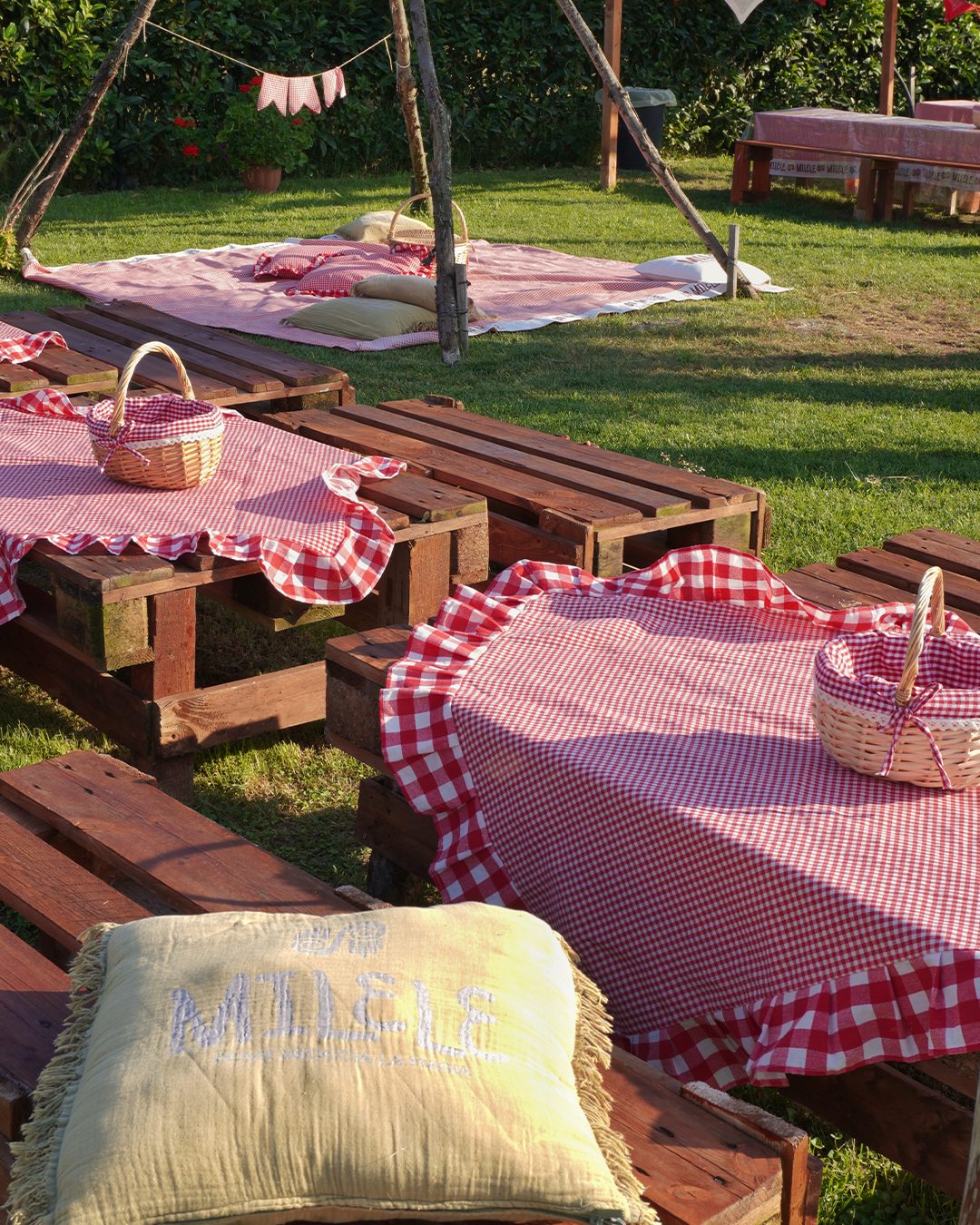 Prato con plaid