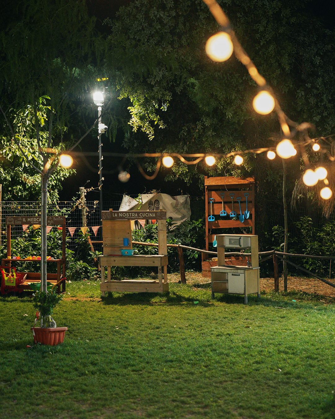 Luci tra gli alberi