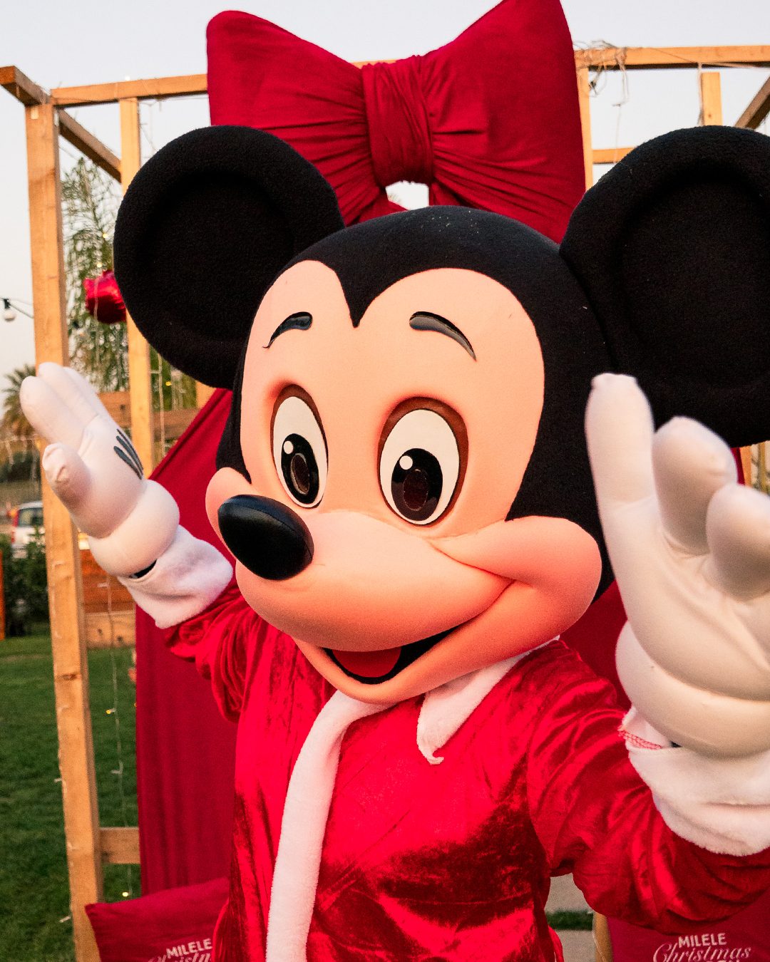 Topolino natalizio